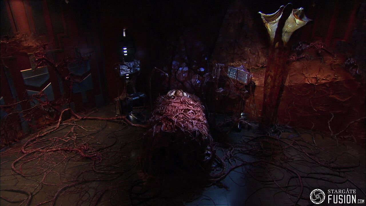 Contamination