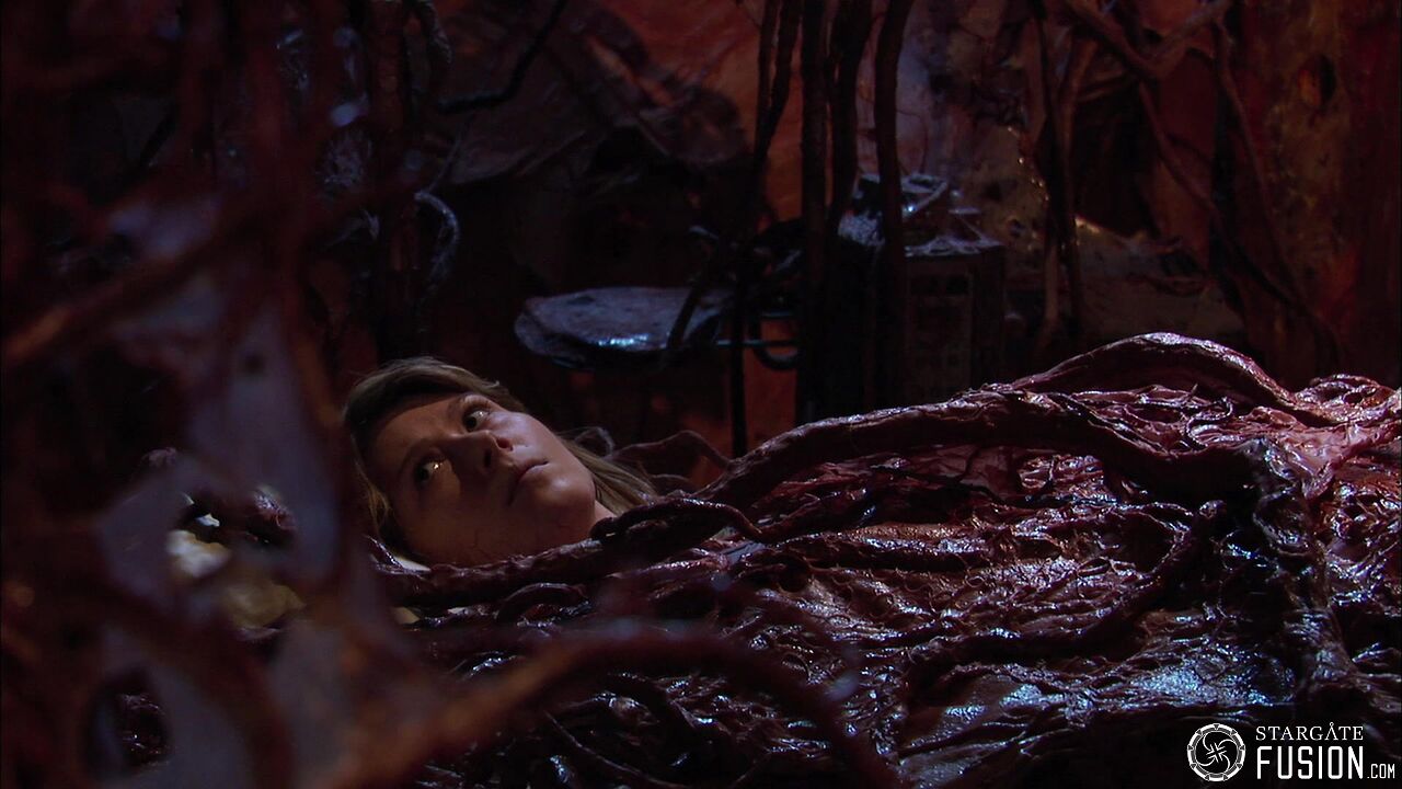 Contamination