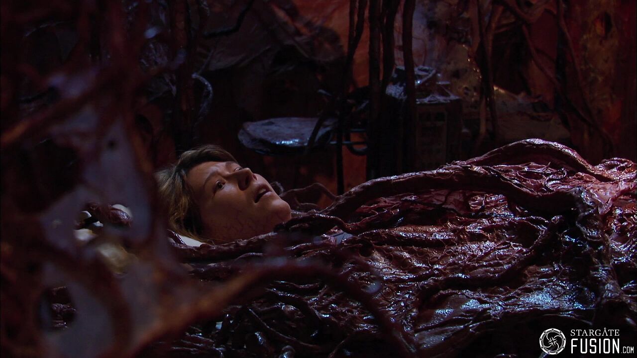 Contamination