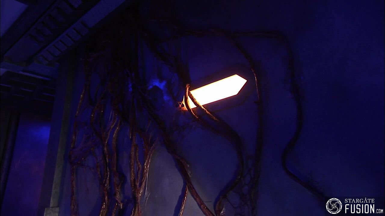 Contamination