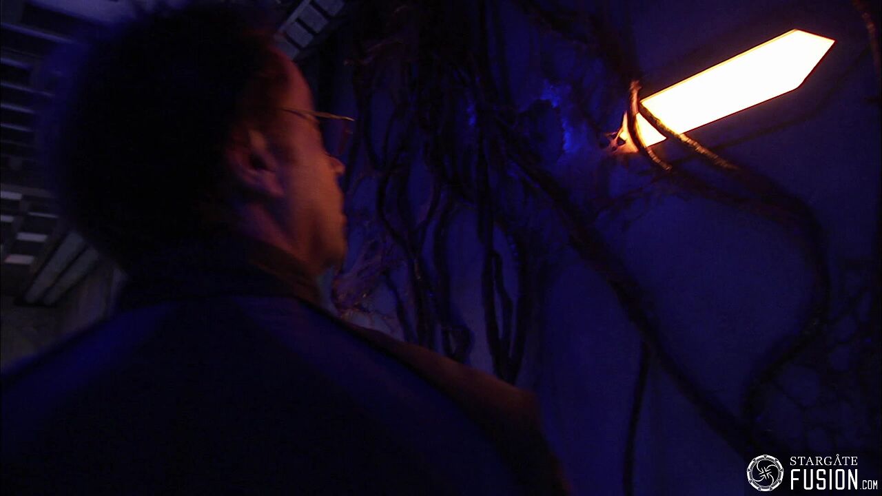 Contamination