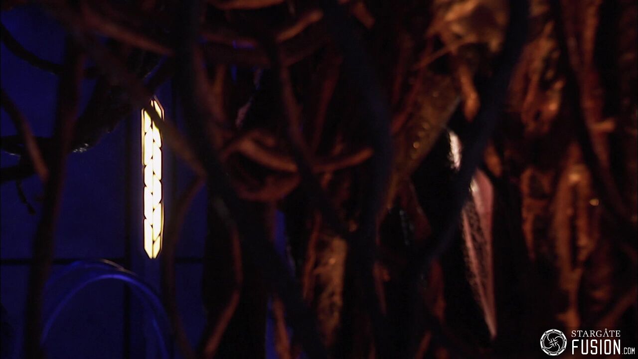 Contamination