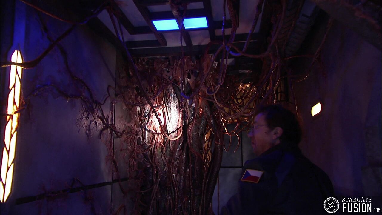 Contamination