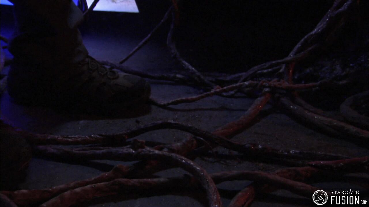 Contamination