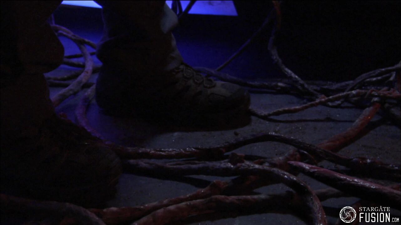 Contamination