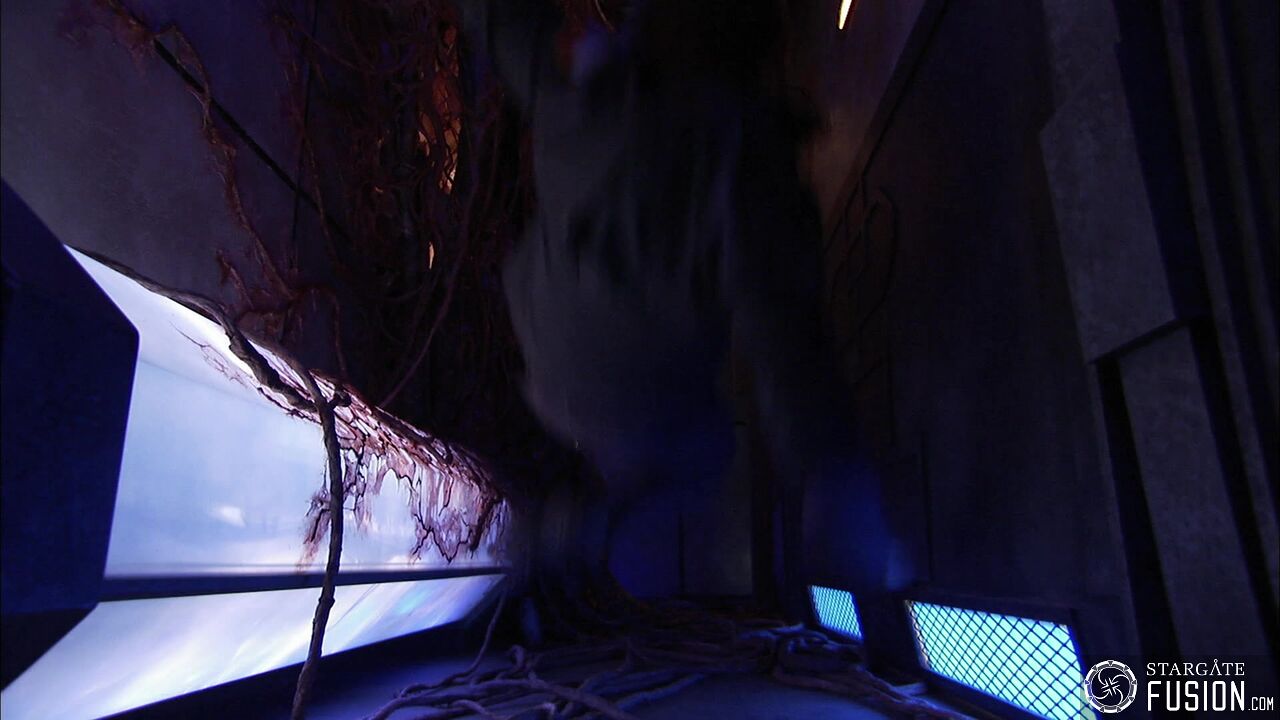 Contamination