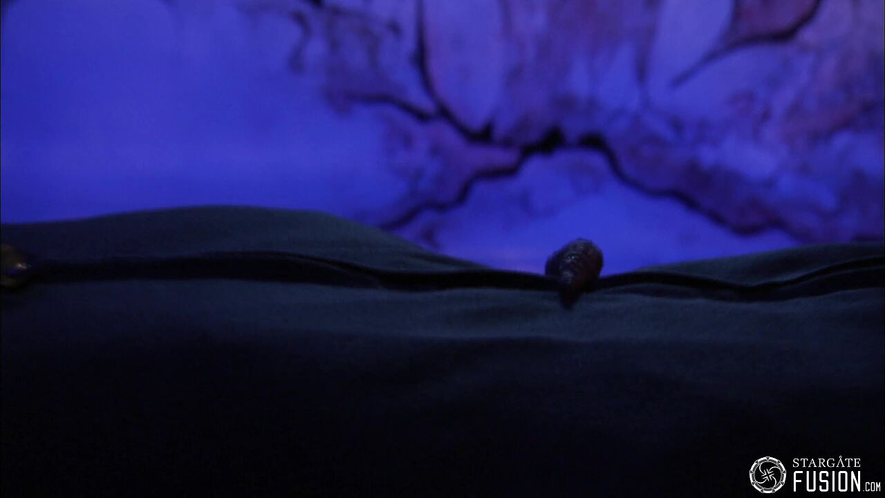 Contamination