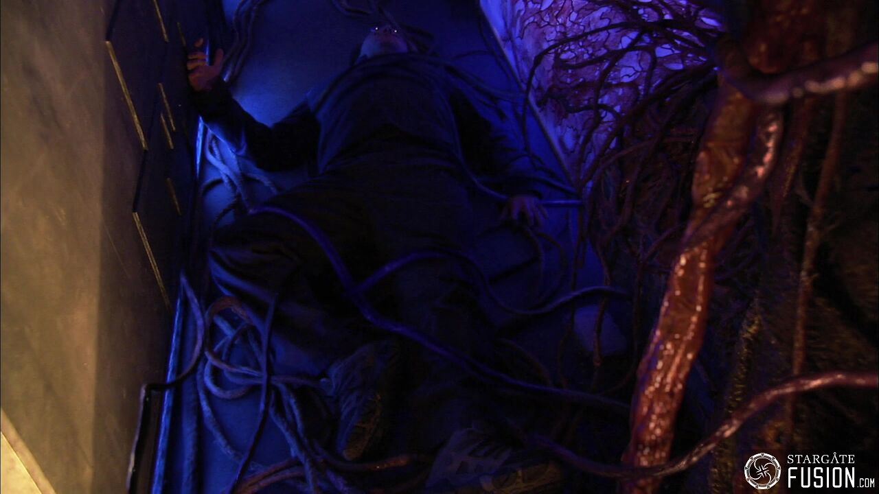 Contamination