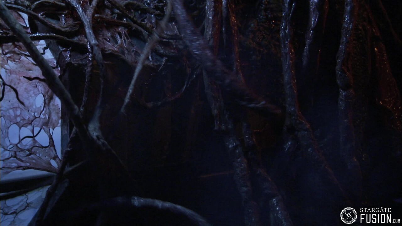 Contamination
