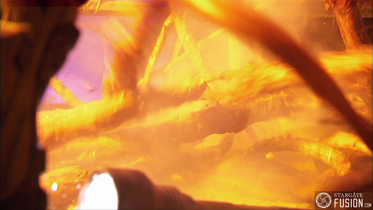 Contamination