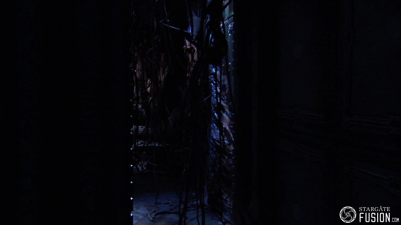 Contamination