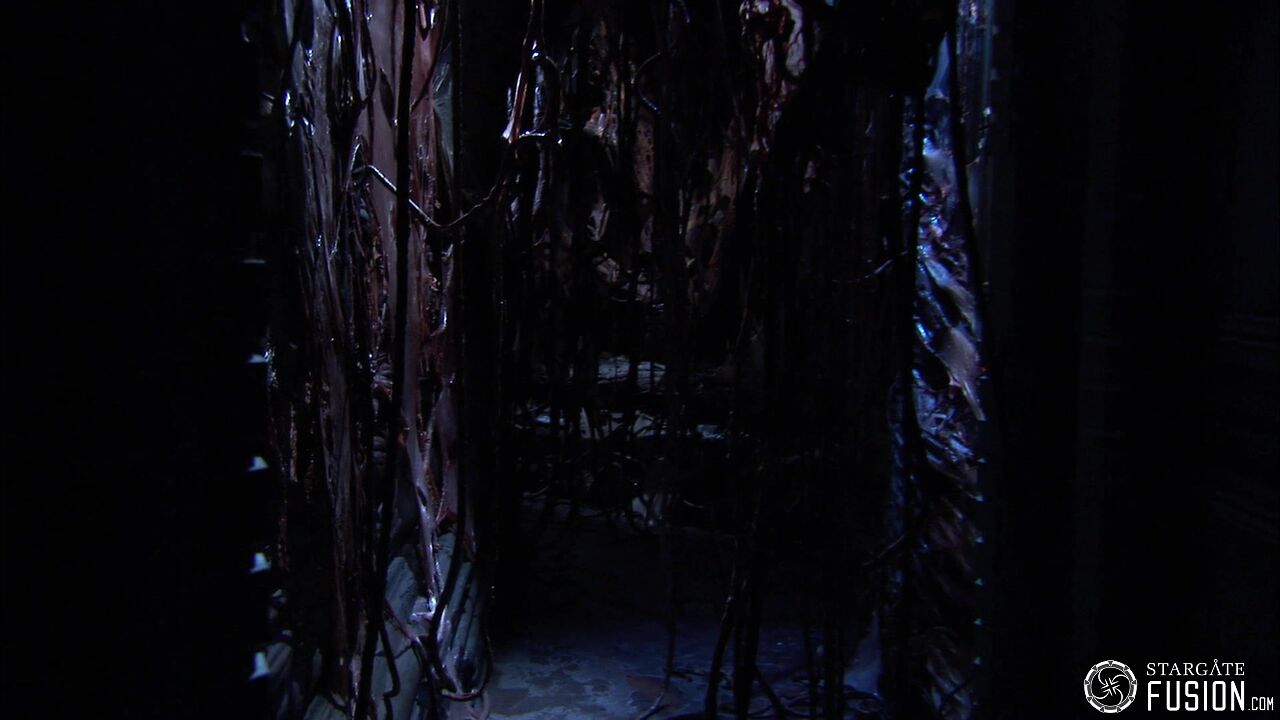 Contamination