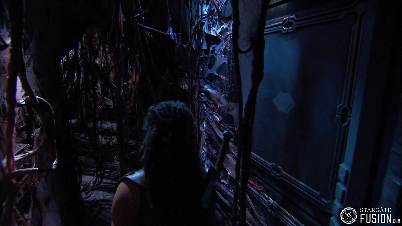 Contamination