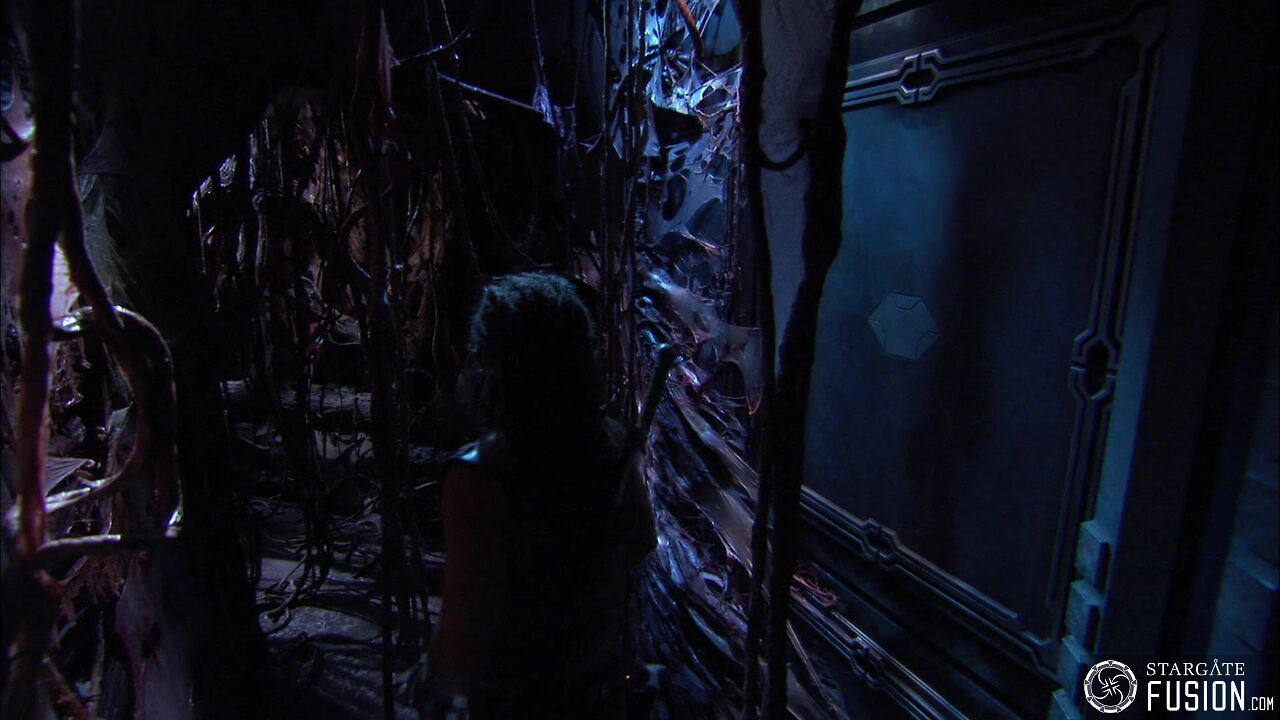 Contamination