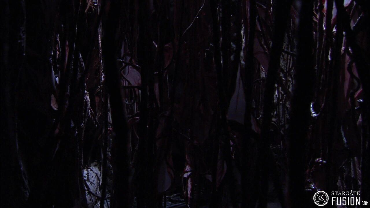 Contamination