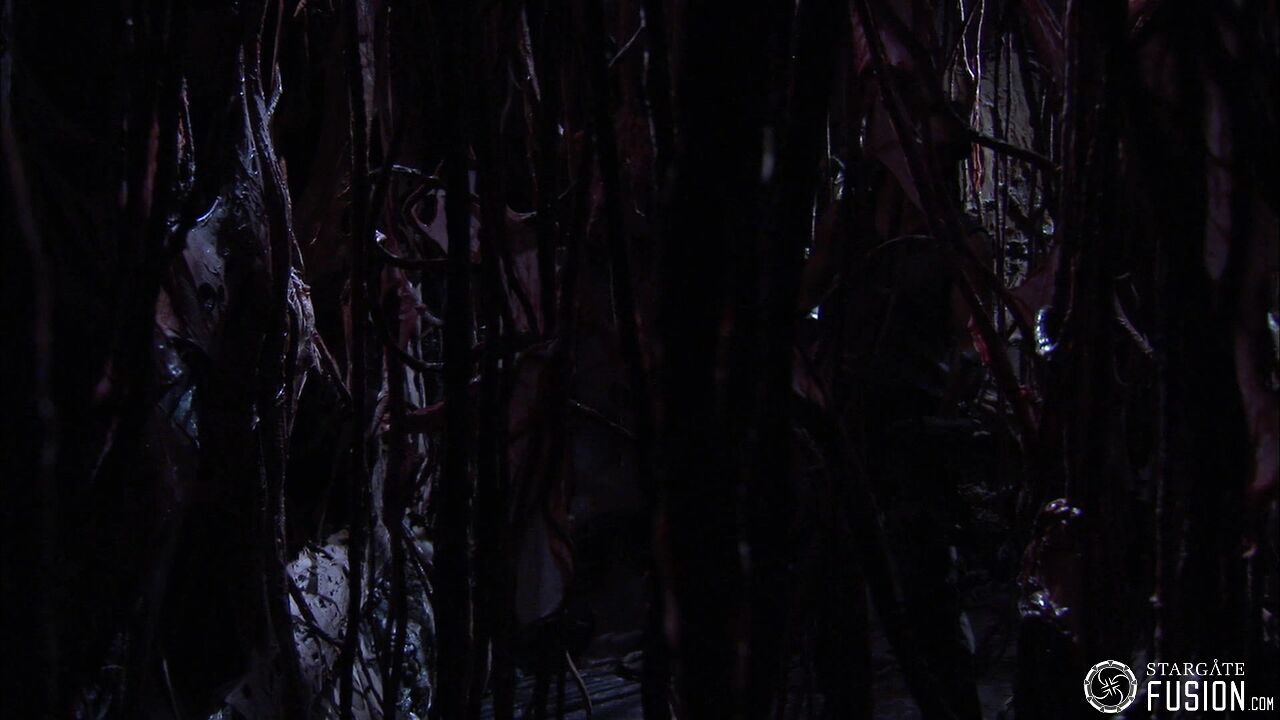Contamination