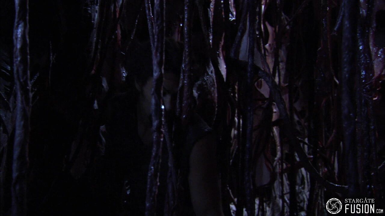 Contamination