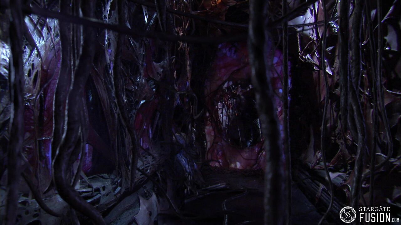Contamination