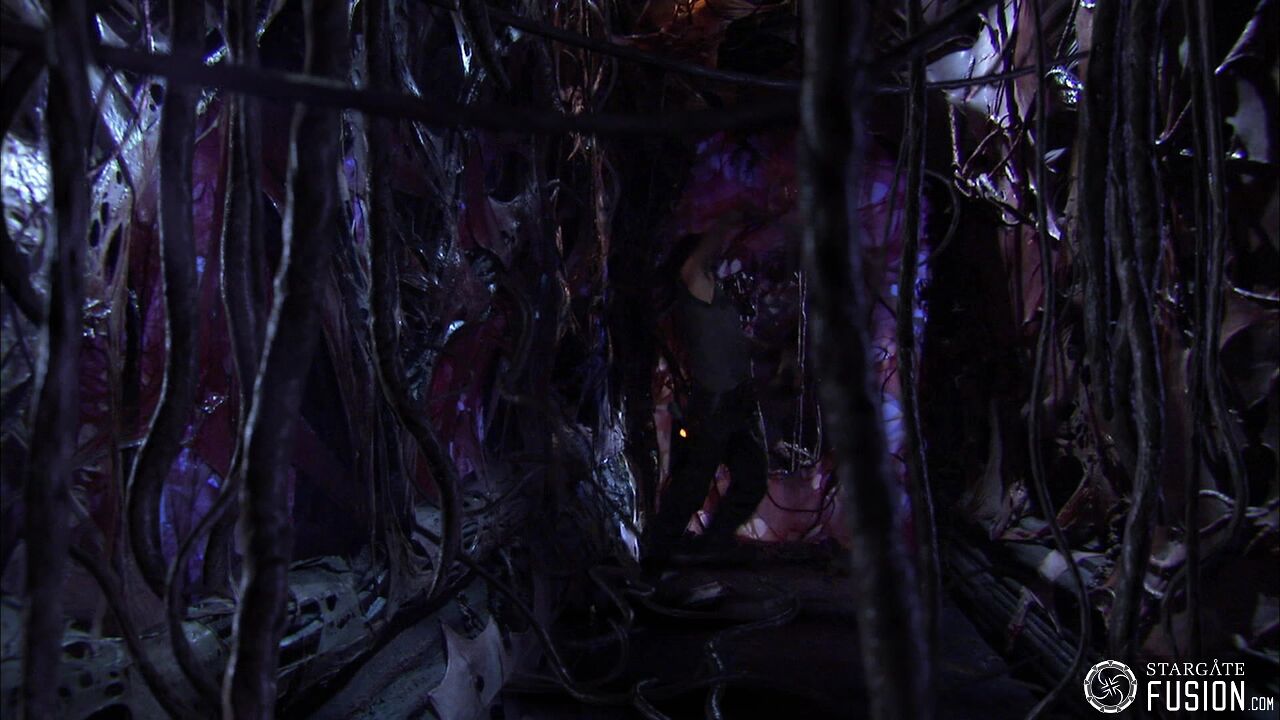 Contamination