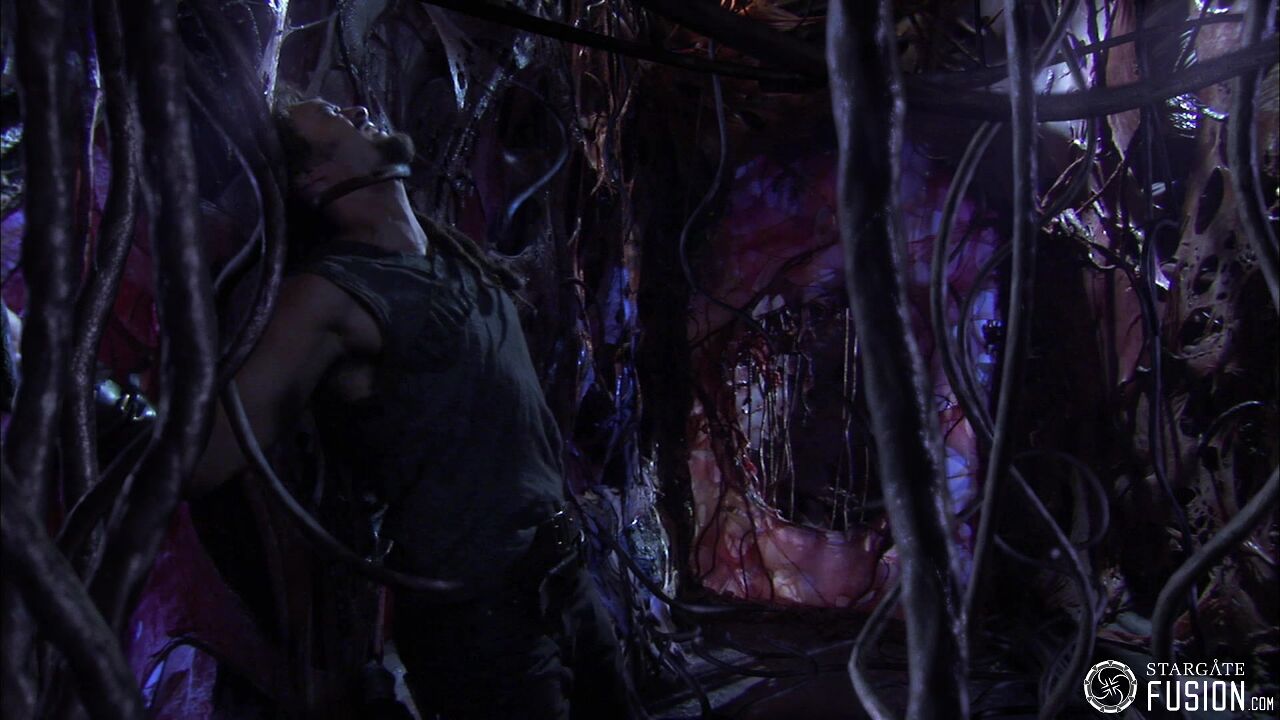 Contamination