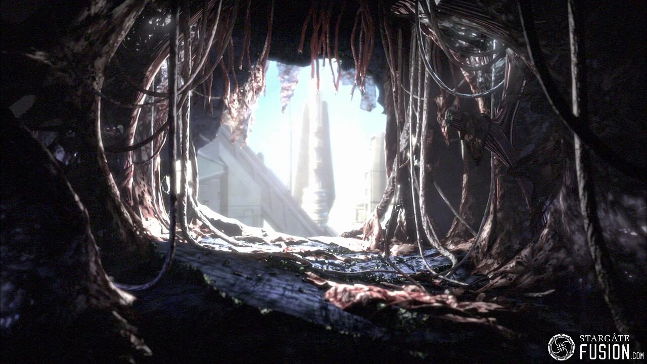 Contamination