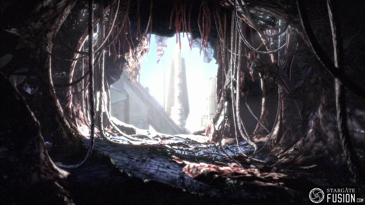 Contamination