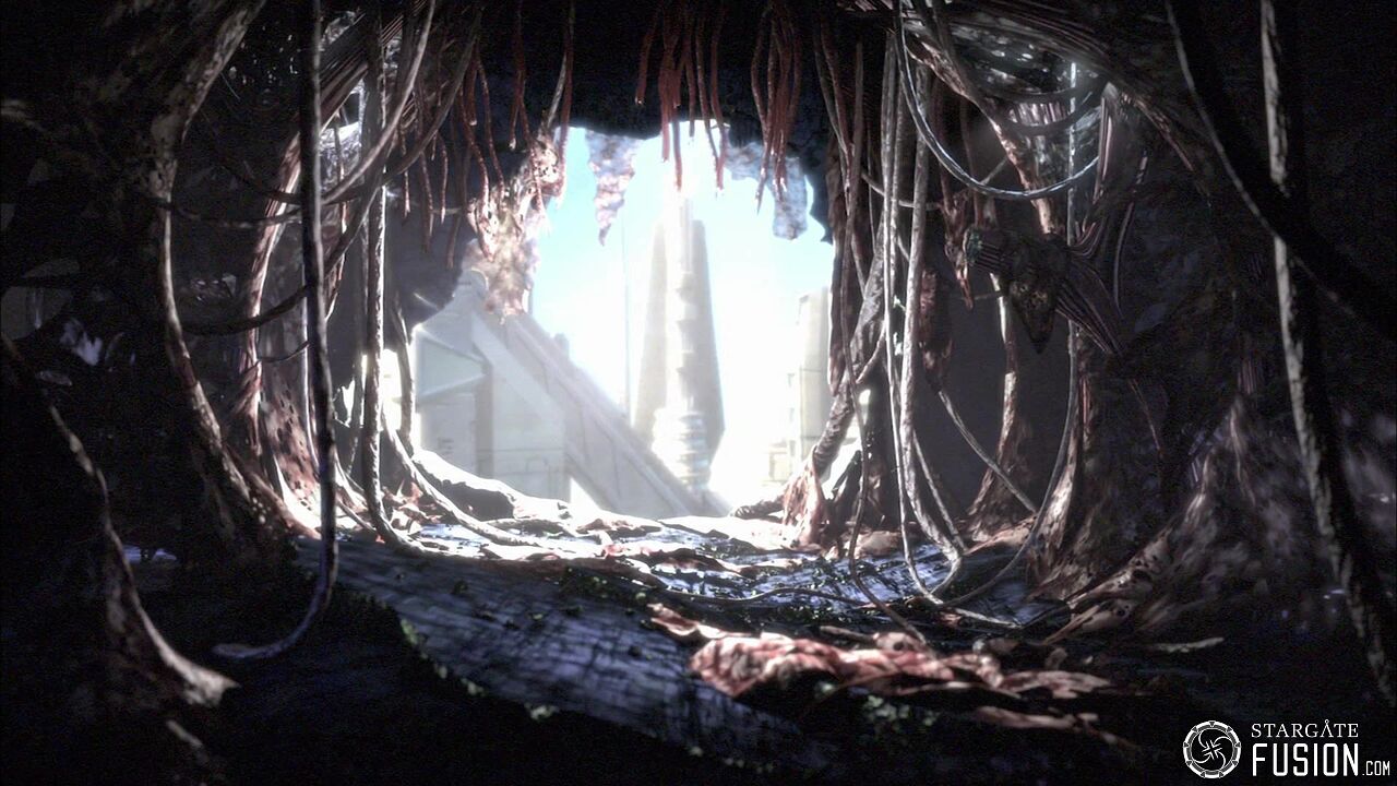 Contamination