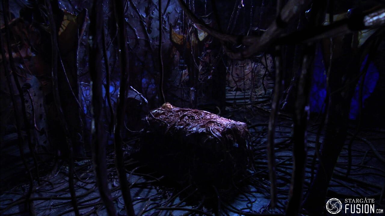 Contamination
