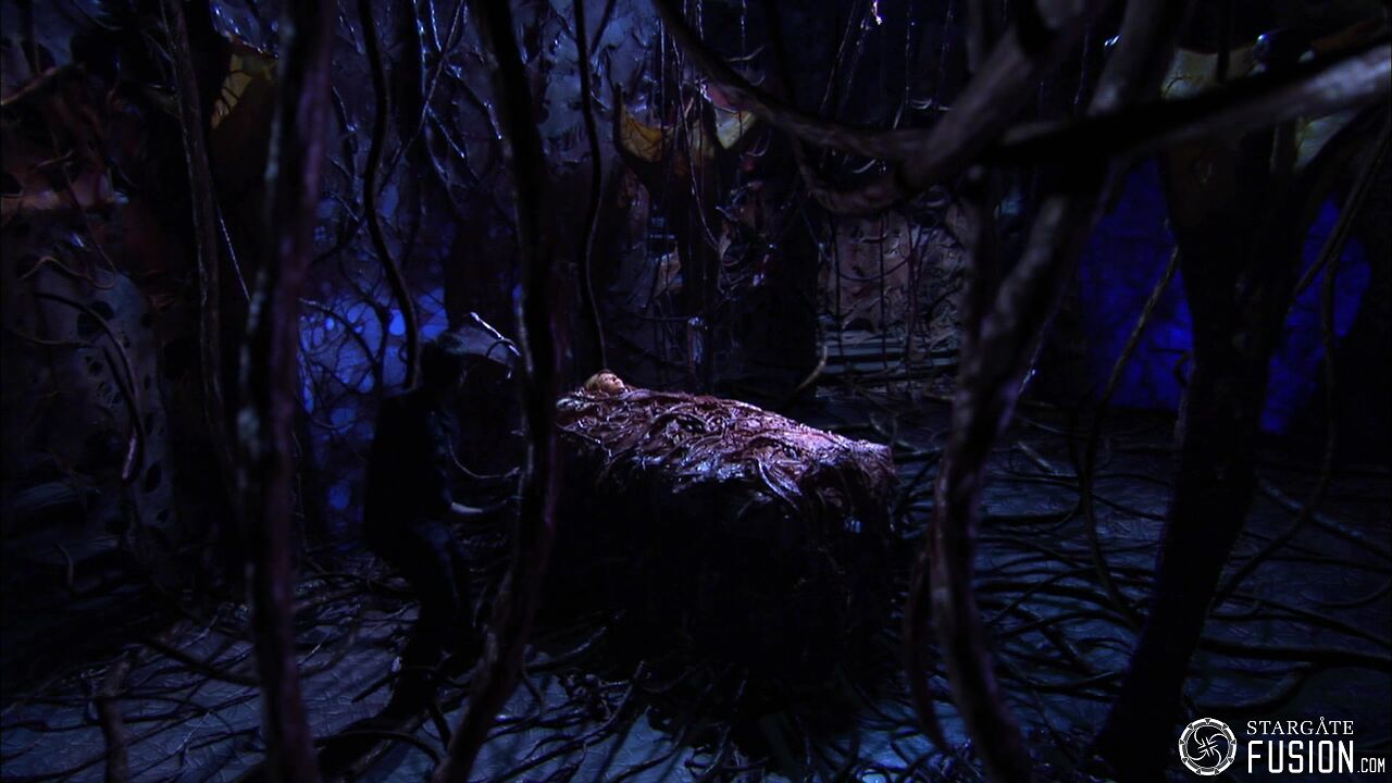 Contamination