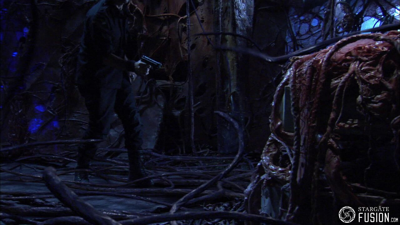 Contamination