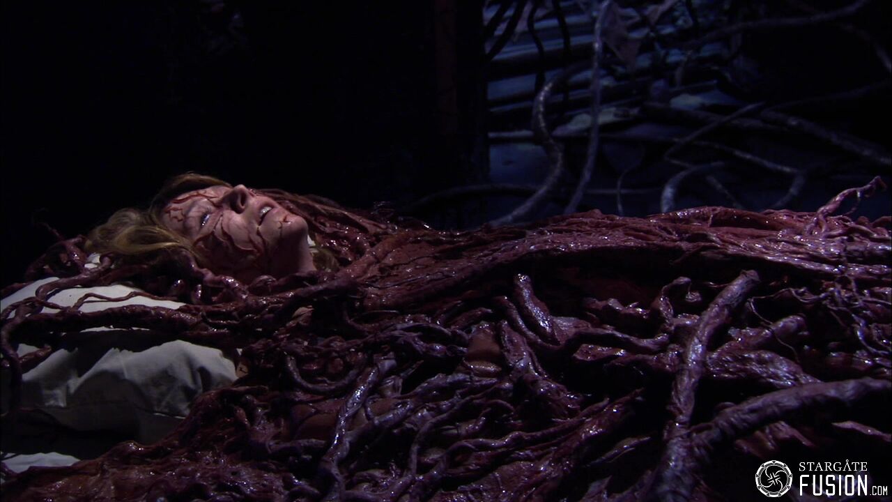 Contamination