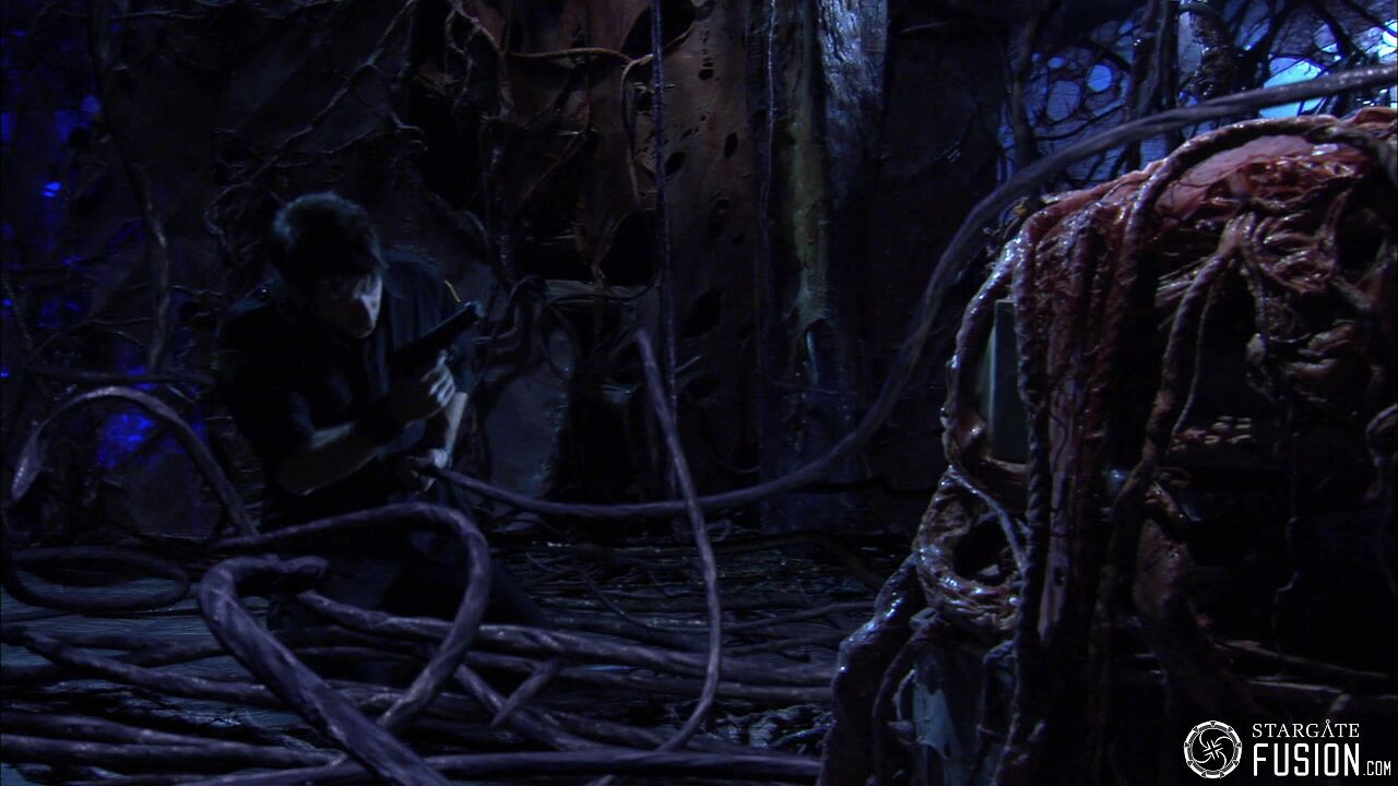 Contamination