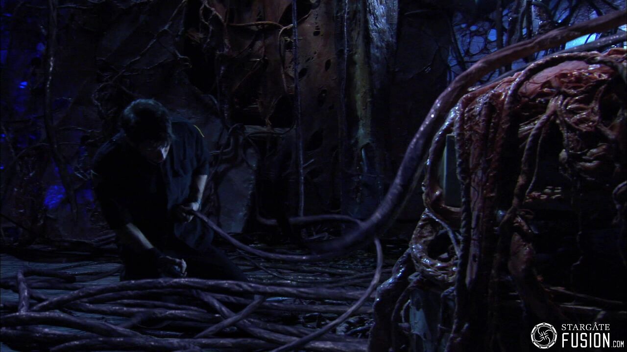 Contamination