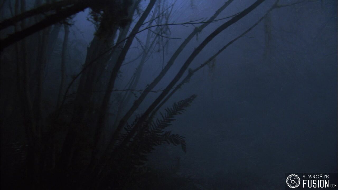 Les démons de la brume