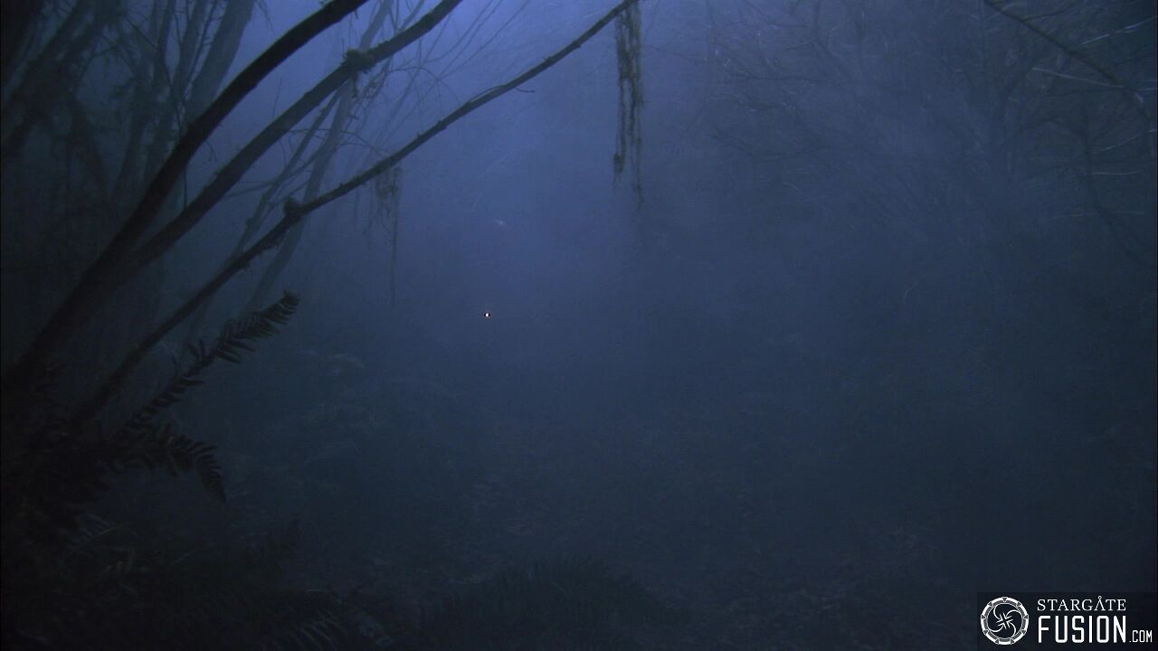 Les démons de la brume