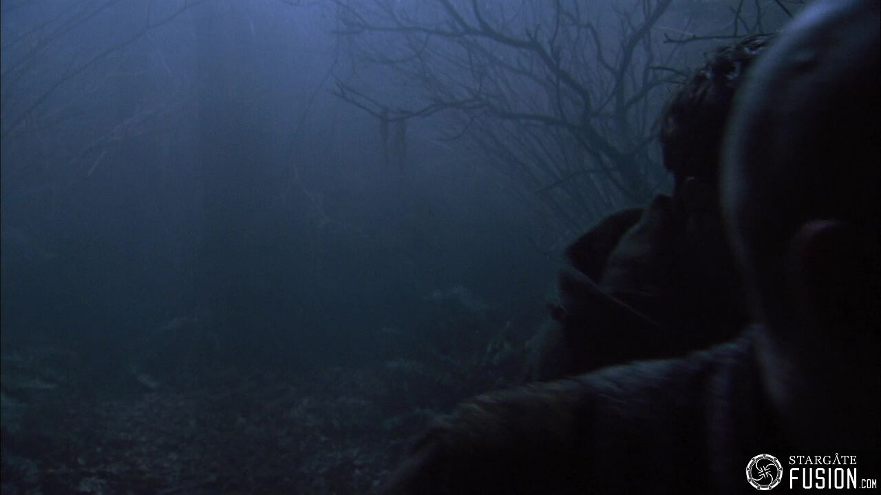 Les démons de la brume