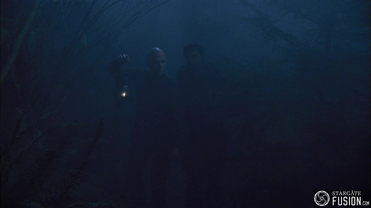 Les démons de la brume