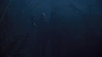 Les démons de la brume