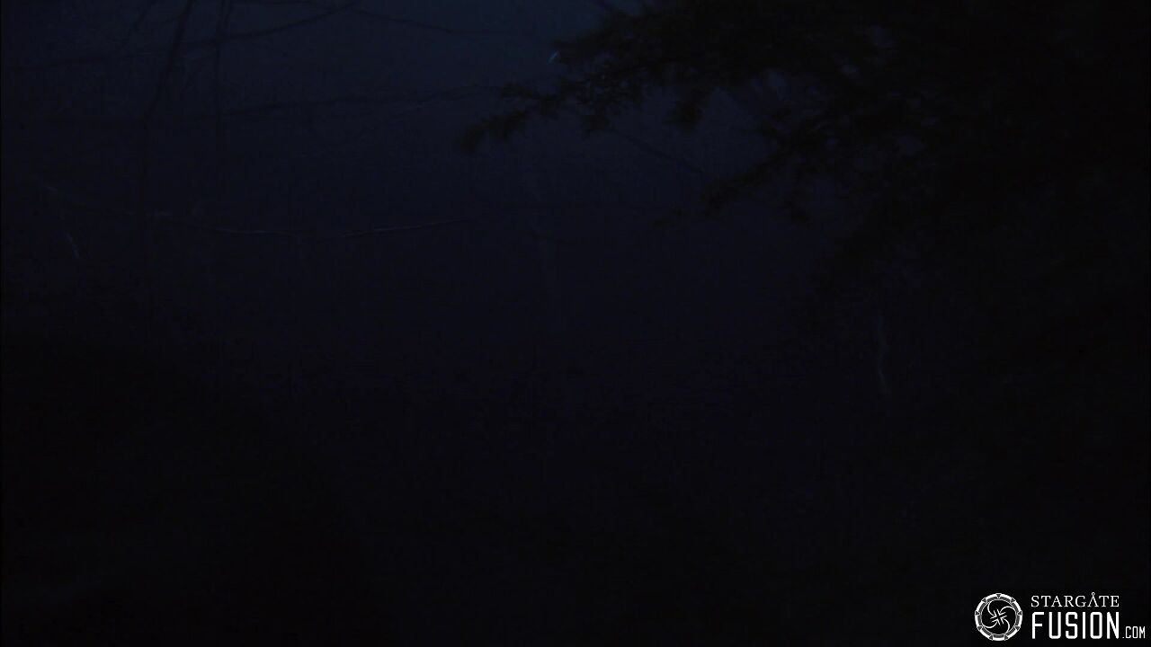 Les démons de la brume
