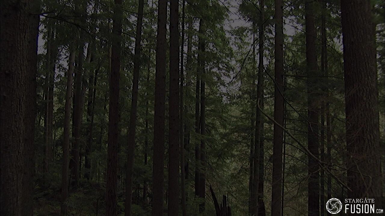 Les démons de la brume