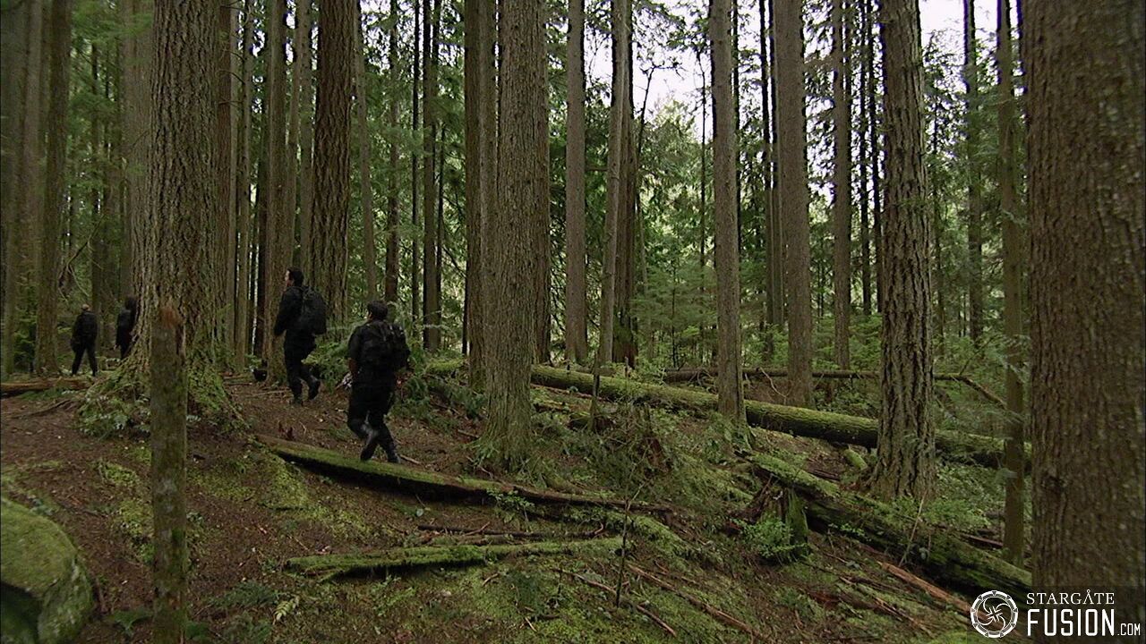 Les démons de la brume