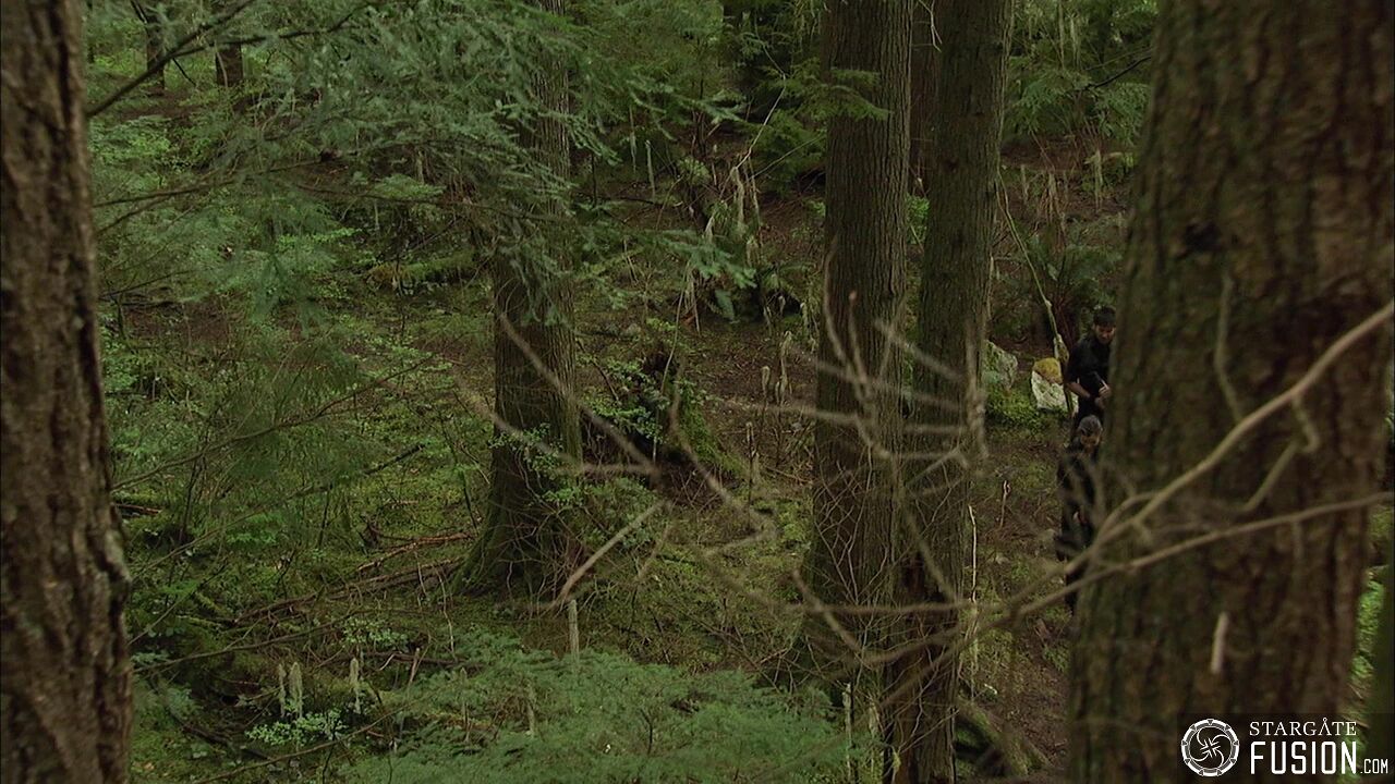 Les démons de la brume