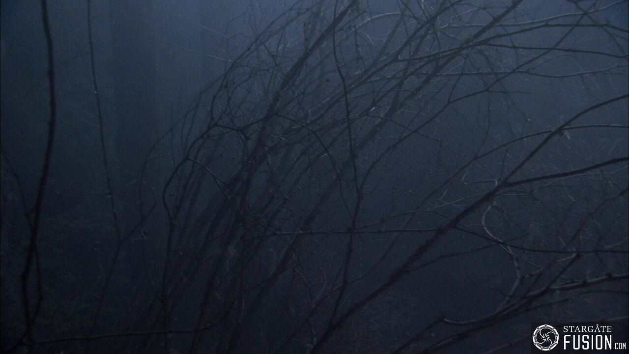 Les démons de la brume