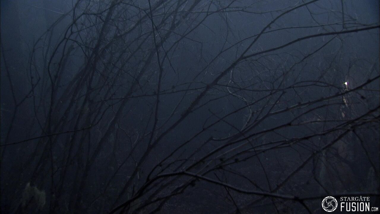 Les démons de la brume
