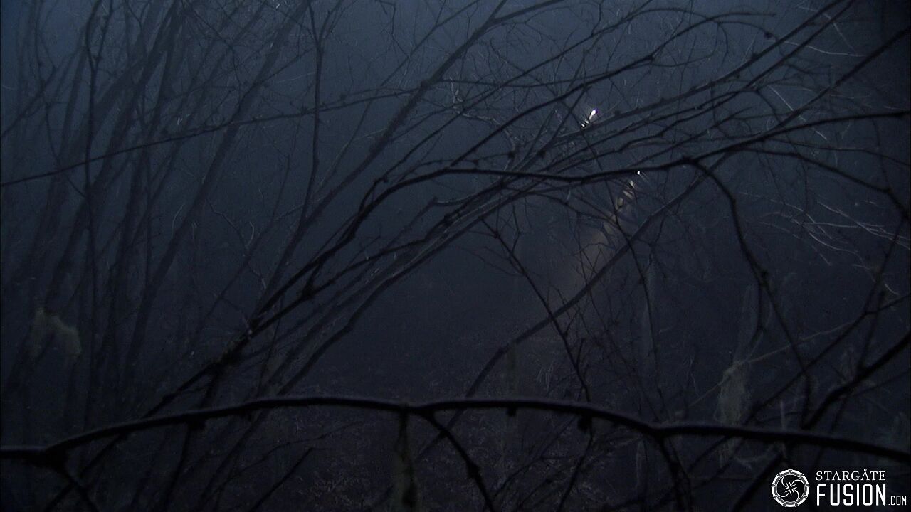 Les démons de la brume