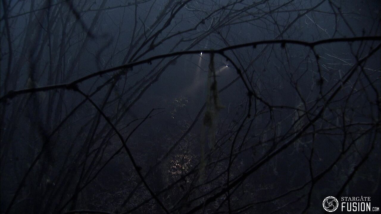 Les démons de la brume