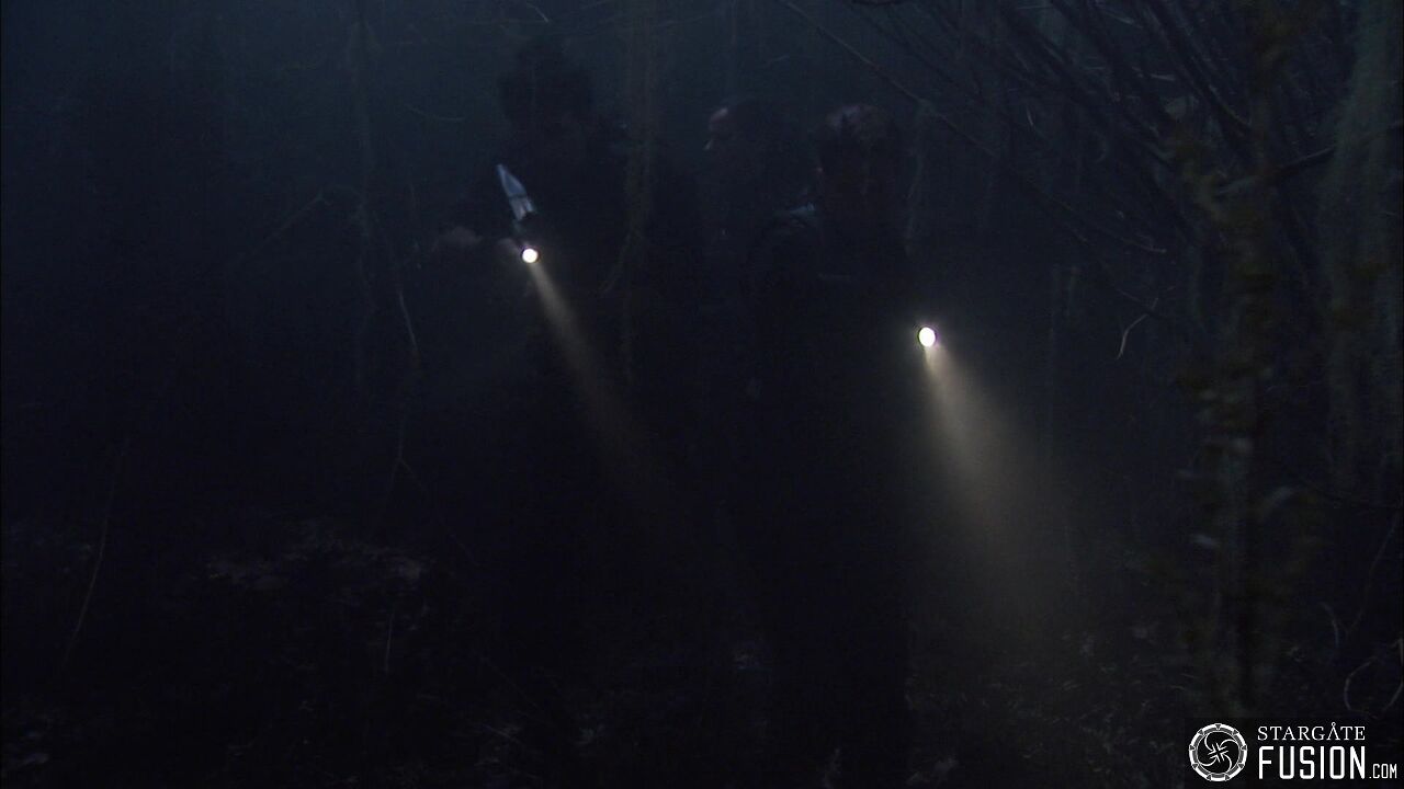 Les démons de la brume