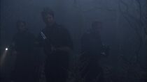 Les démons de la brume