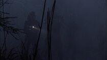 Les démons de la brume