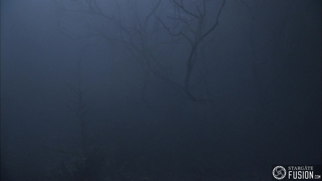 Les démons de la brume